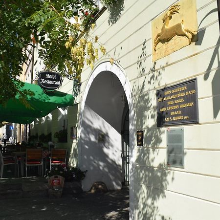 Akzent Hotel Goldner Hirsch Kamenec Exteriér fotografie
